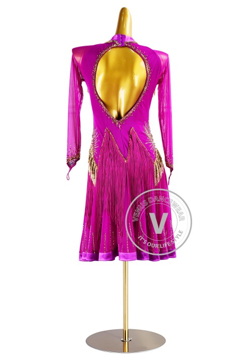 Fuchsia Beading Fringe Latin Rhythm Competition Dance Dress