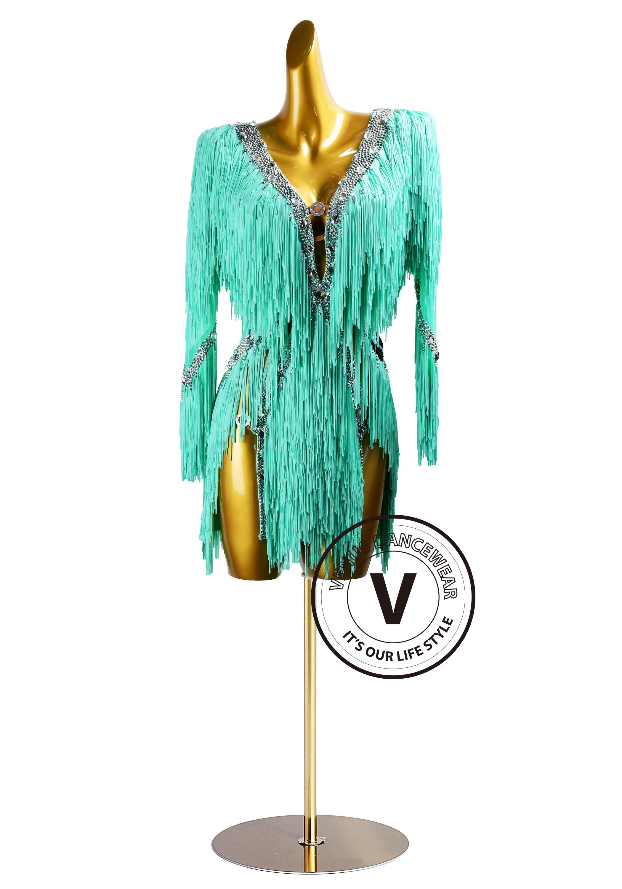 See Green Fringe Rhythm Latin Dress for Dance Competition