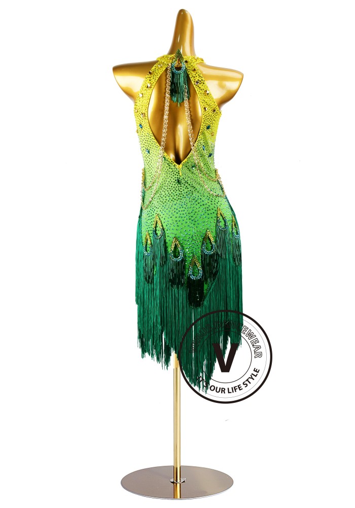 latin dress designs Latin/Rhythm Dance Competition Dresses Blue Cheese Dip - competition latin dance costumes Shine in style with Color:OliveGreen FASTIVEL SAREE