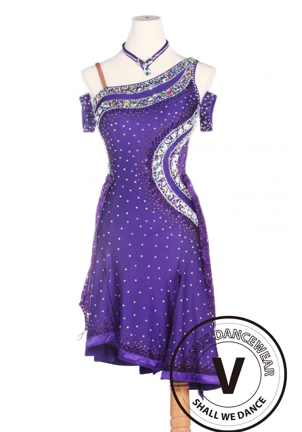 Purple Latin Competition American Rhythm Salsa Rumba Dance Dress