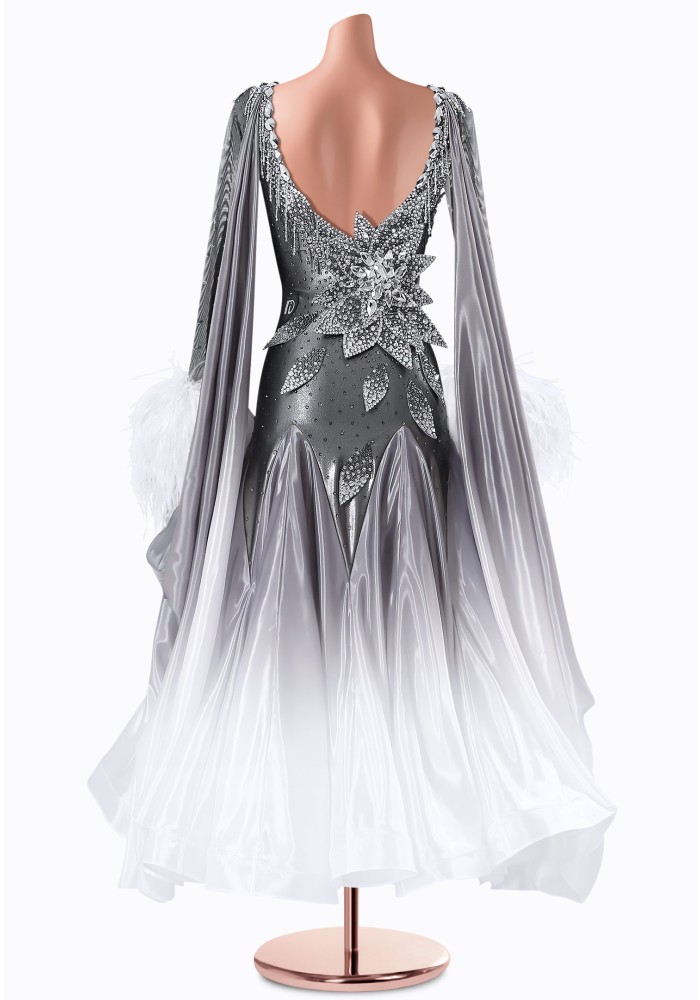 grey dance dress Mystic Ice Ballroom Gown TID-BM1128 two piece gray dance costume
