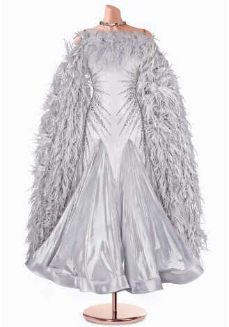 A stunning silver ballroom dance gown, adorned with shimmering embellishments and a dramatic feather boa.