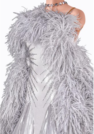 A stunning silver ballroom dance gown, adorned with shimmering embellishments and a dramatic feather boa.
