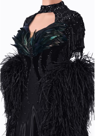 Elegant black ballroom dance gown with dramatic feather detailing.