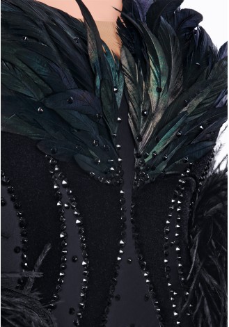 Elegant black ballroom dance gown with dramatic feather detailing.