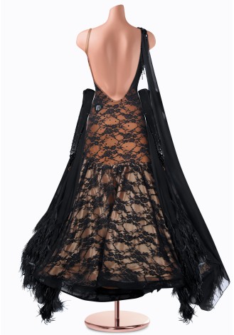 Elegant black and champagne ballroom dance gown with feather detailing.