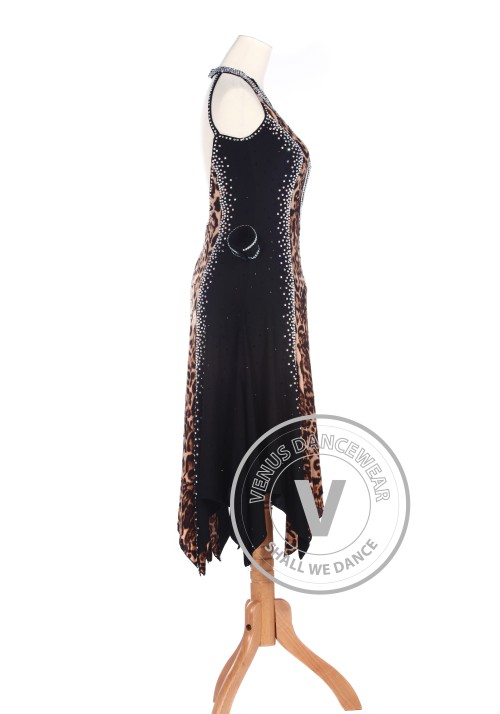 Leopard Elegant American Rhythm Salsa Rumba Latin Competition Dance Dress