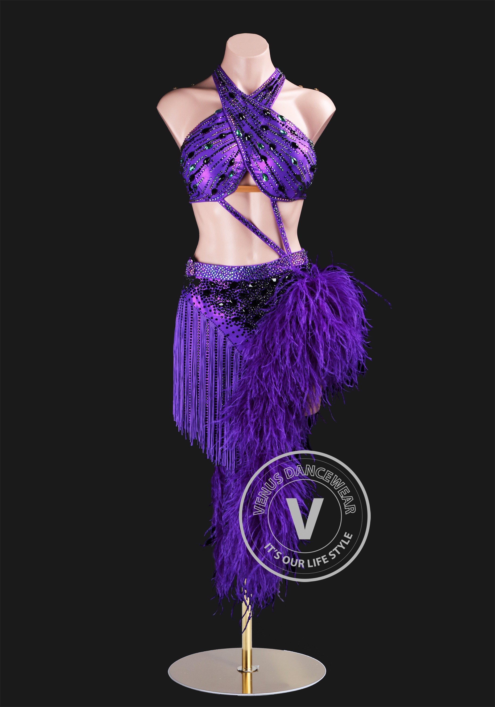 Royal Purple Enchantress Latin Rhythm Chacha Salsa Rumba Competition Dance Dress
