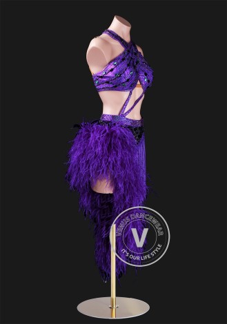 Royal Purple Enchantress Latin Rhythm Chacha Salsa Rumba Competition Dance Dress
