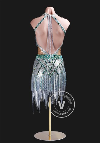 Frosted Eden Latin Rhythm Chacha Salsa Rumba Competition Dance Dress