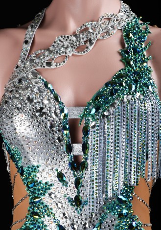 Frosted Eden Latin Rhythm Chacha Salsa Rumba Competition Dance Dress