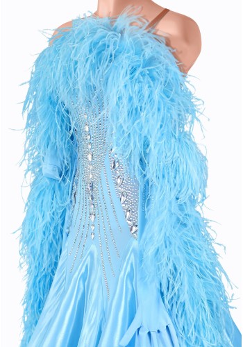 Elsa Crystal Ballroom Gown TID-BM1009