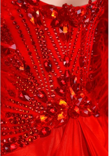 Halter Phoenix Ballroom Gown TID-BM0995