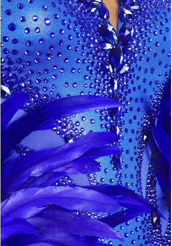 Royal Phoenix Ballroom Gown TID-BM0991