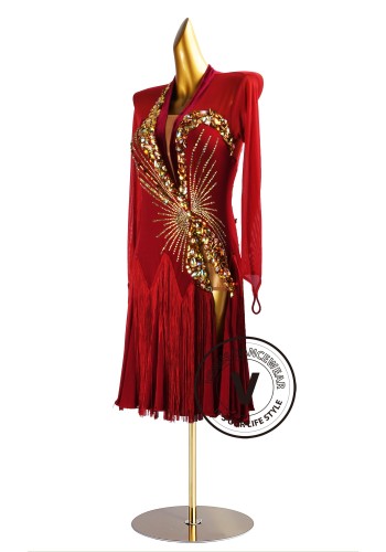 Crimson Royale Fringe Latin Rhythm Chacha Salsa Rumba Competition Dance Dress