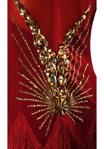 Crimson Royale Fringe Latin Rhythm Chacha Salsa Rumba Competition Dance Dress