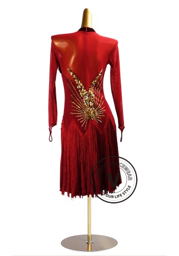 Crimson Royale Fringe Latin Rhythm Chacha Salsa Rumba Competition Dance Dress
