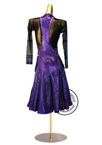 Royal Mosaic Prism Latin Rhythm Chacha Salsa Rumba Competition Dance Dress