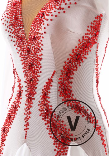 Crimson Snow Elegance Royale Ballroom Smooth Dance Competition Dress