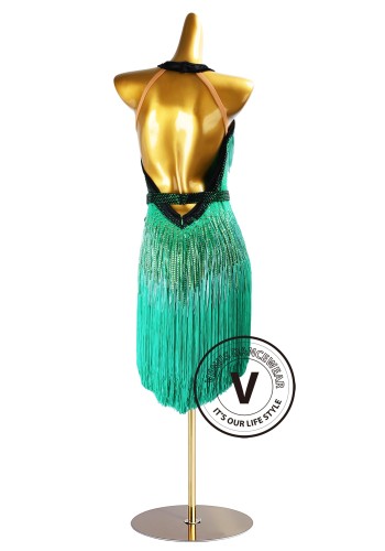 Jade Motion Latin Rhythm Chacha Salsa Rumba Competition Dance Dress