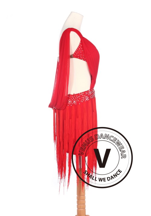 Red Latin Rhythm Salsa Rumba Latin Competition Dancing Dress