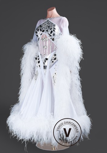 Glacier Crystal Feather Frost Waltz Ballroom Dress Smooth Competition Dresses