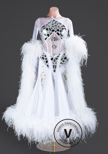 Glacier Crystal Feather Frost Waltz Ballroom Dress Smooth Competition Dresses