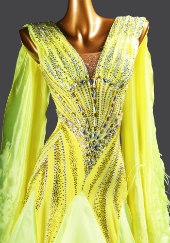 Citrine Radiance Waltz Ballroom Dress Smooth Competition Dresses