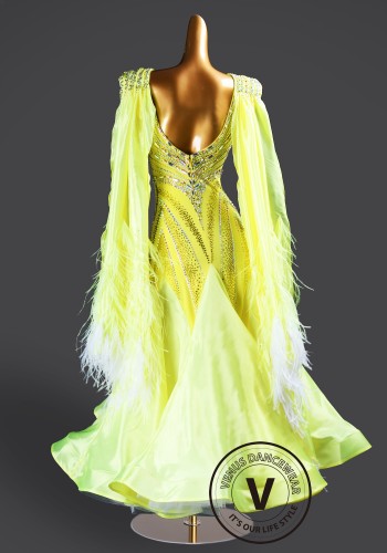Citrine Radiance Waltz Ballroom Dress Smooth Competition Dresses