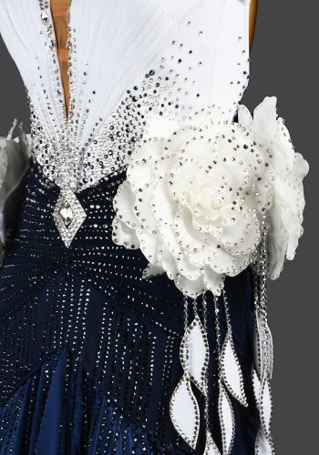 Ivory Navy Waltz Ballroom Dress Smooth Competition Dresses