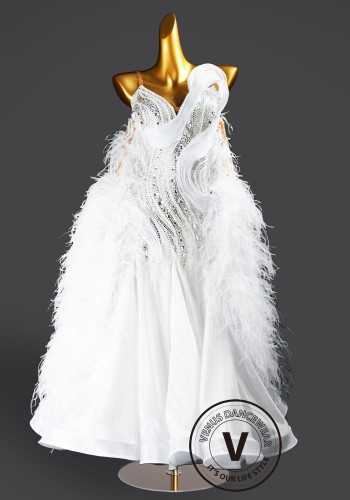 Feather Frost Waltz Ballroom Dress Smooth Competition Dresses