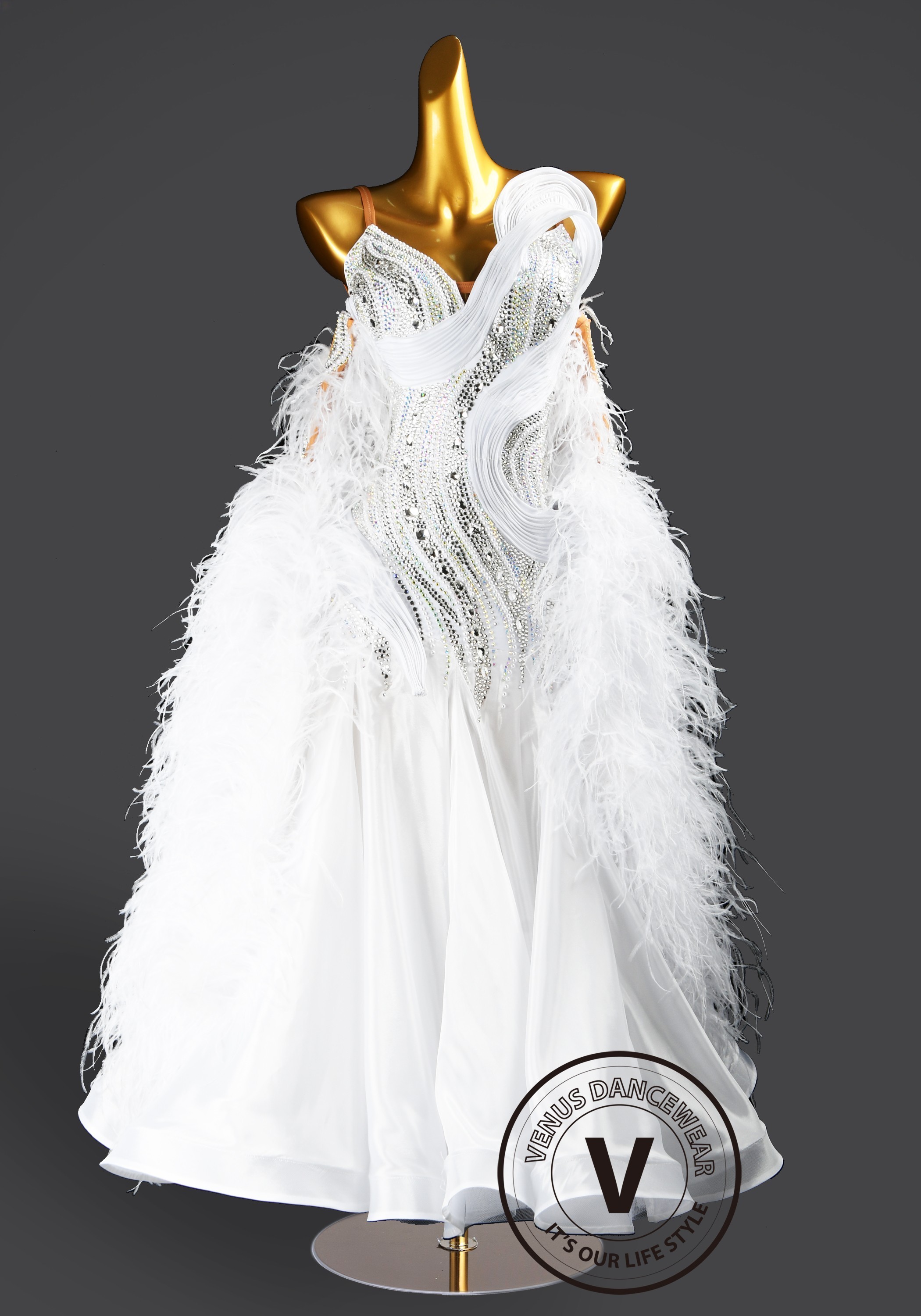 Feather Frost Waltz Ballroom Dress Smooth Competition Dresses