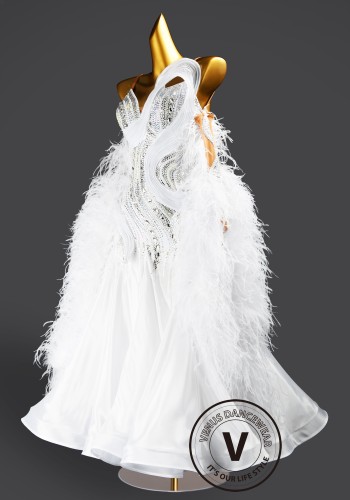 Feather Frost Waltz Ballroom Dress Smooth Competition Dresses