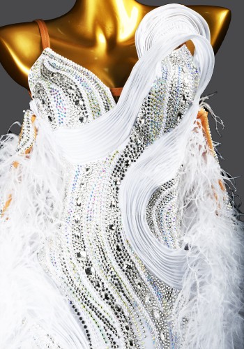 Feather Frost Waltz Ballroom Dress Smooth Competition Dresses