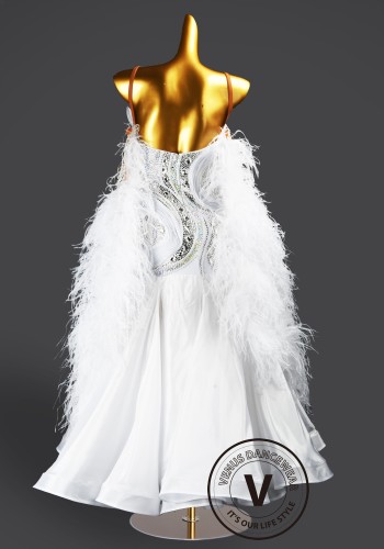 Feather Frost Waltz Ballroom Dress Smooth Competition Dresses