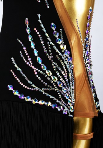 Starlight Trail Latin Rhythm Chacha Salsa Rumba Competition Dance Dress