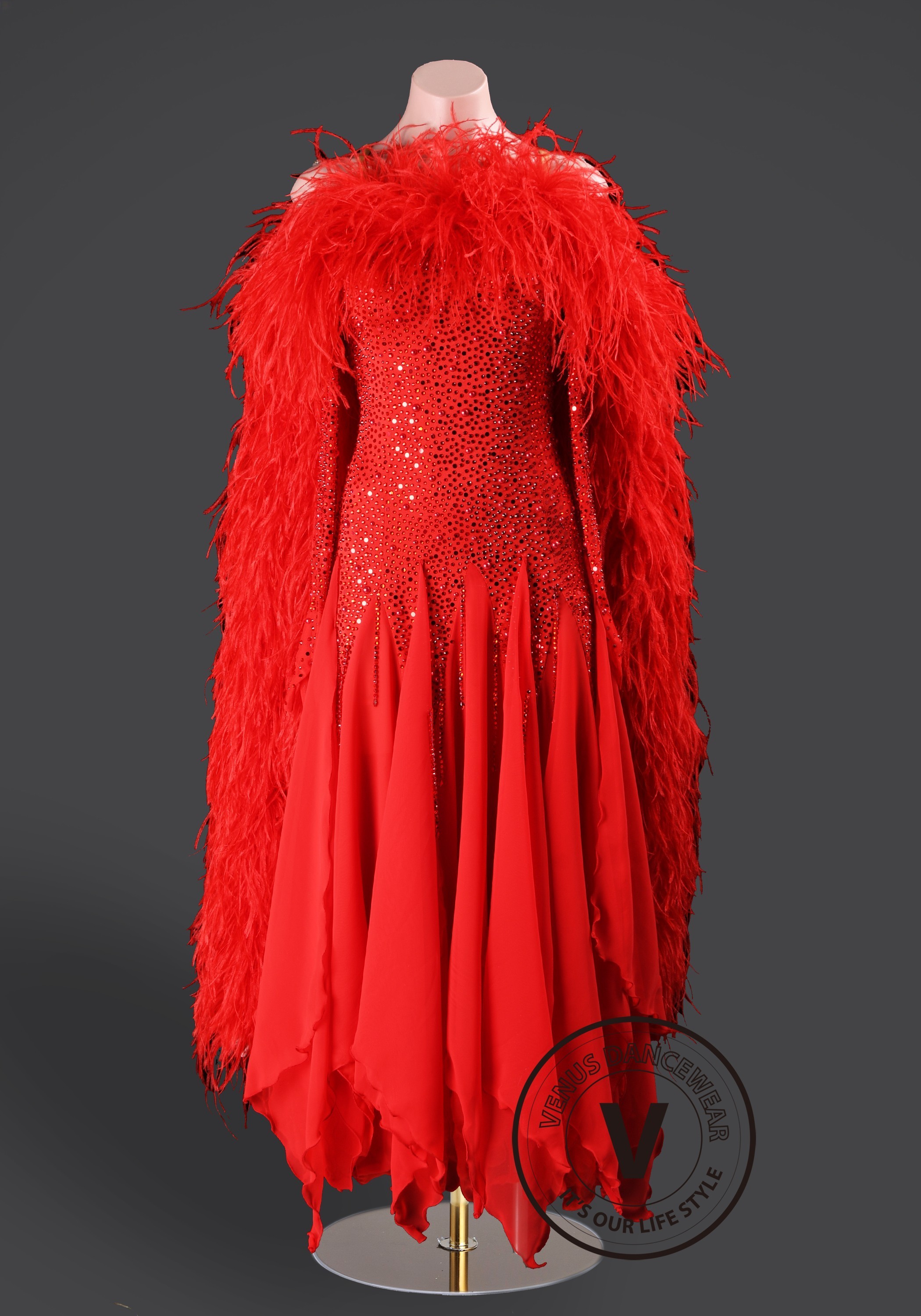 Scarlet Majesty Feather Waltz Ballroom Dress Smooth Competition Dresses