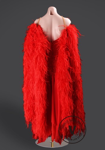 Scarlet Majesty Feather Waltz Ballroom Dress Smooth Competition Dresses