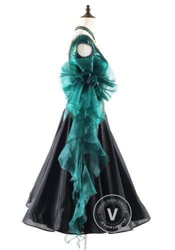 Noir Emerald Shadow Ballroom Smooth Dance Competition Dress
