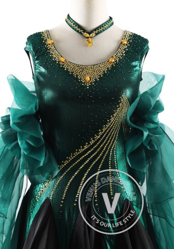 Noir Emerald Shadow Ballroom Smooth Dance Competition Dress