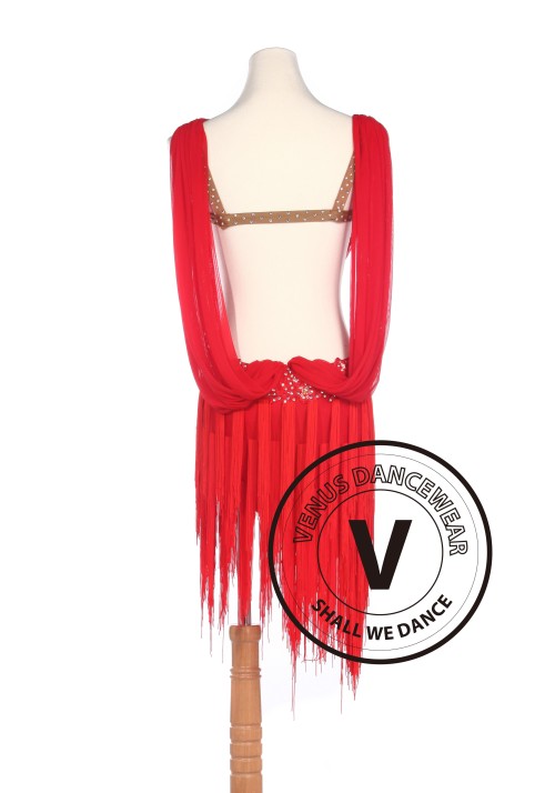 Red Latin Rhythm Salsa Rumba Latin Competition Dancing Dress