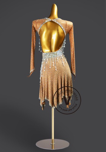 Champagne Cascade Latin Rhythm Chacha Salsa Rumba Competition Dance Dress