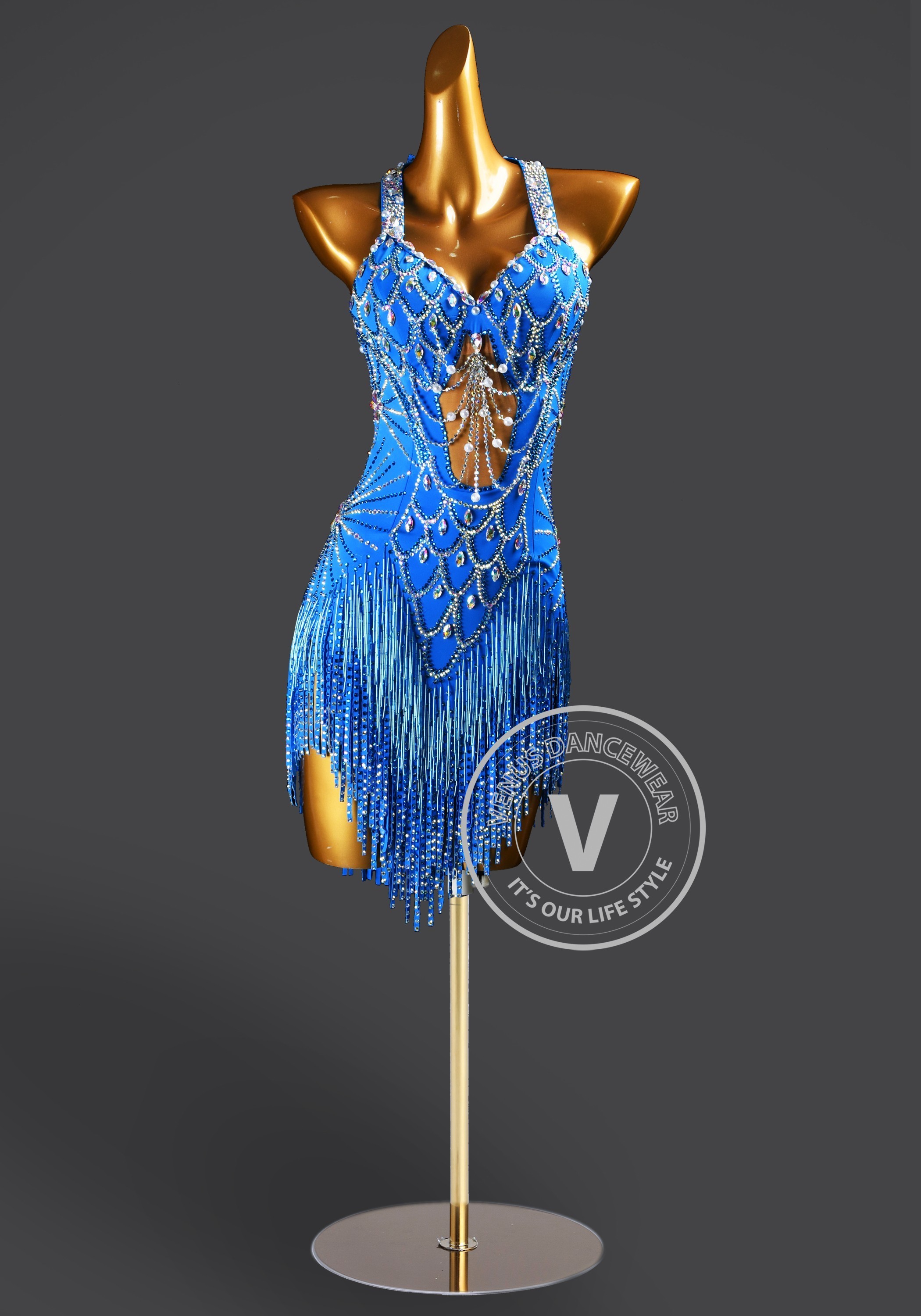 Blue Reverie Latin Rhythm Chacha Salsa Rumba Competition Dance Dress